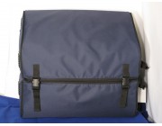 Dividing case for easy transport